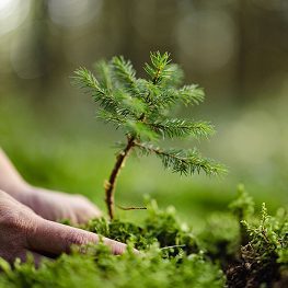 Formed by producers, for producers