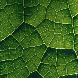 Leading and shaping producer responsibility