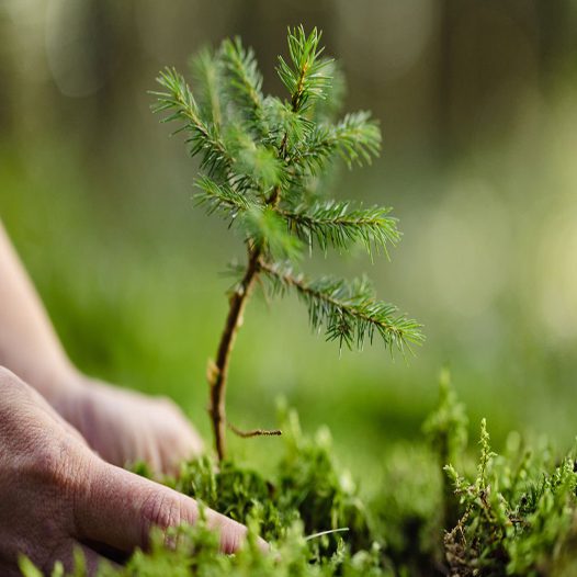 Supporting the next generation of waste specialists